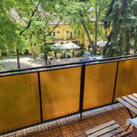 Koala * Секешфехервар