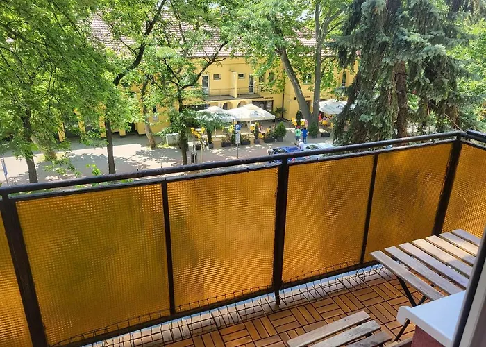 Koala * Székesfehérvár